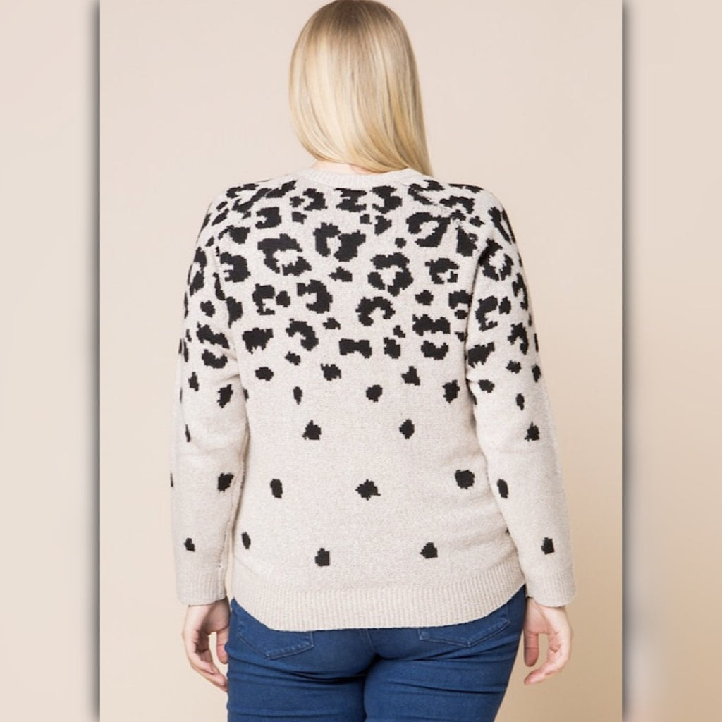 A521 • Cream Leopard V-Neck Knit Sweater