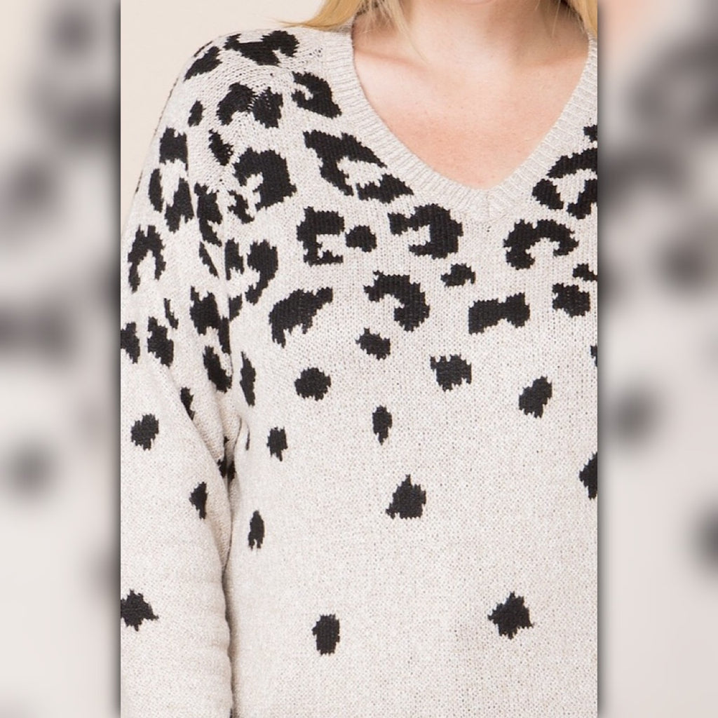 A521 • Cream Leopard V-Neck Knit Sweater